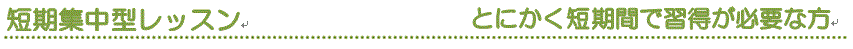 短期集中型レッスン　お急ぎの方