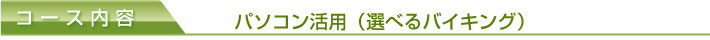 パソコン活用（選べるバイキング）　３品（コース）　21,000円